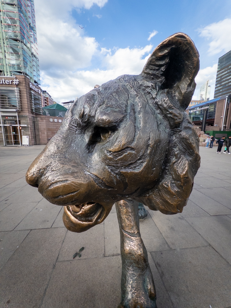 Photography by Chris Allington